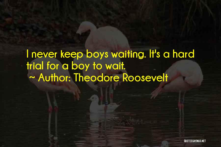 President Theodore Roosevelt Quotes By Theodore Roosevelt