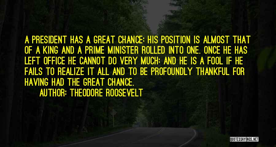 President Theodore Roosevelt Quotes By Theodore Roosevelt