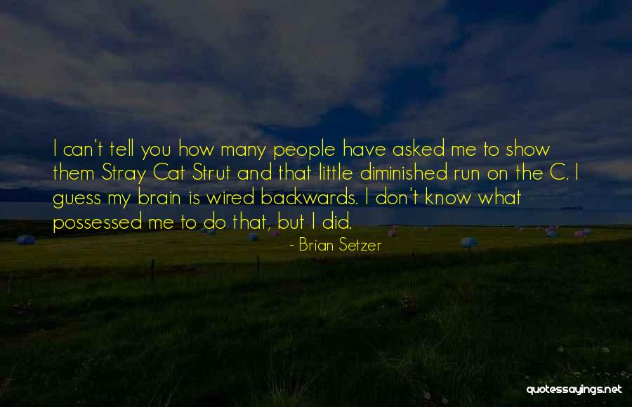 Presidential Blooper Quotes By Brian Setzer Presidential Blooper Quotes By Brian Setzer
