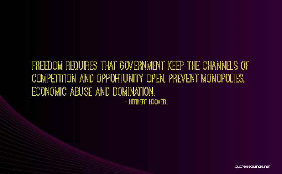 Presidential Government Quotes By Herbert Hoover Presidential Government Quotes By Herbert Hoover