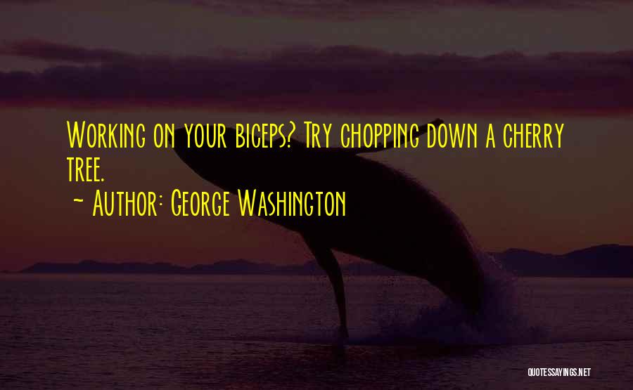 Presidential Quotes By George Washington