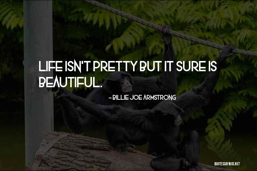 Presomption En Quotes By Billie Joe Armstrong Presomption En Quotes By Billie Joe Armstrong