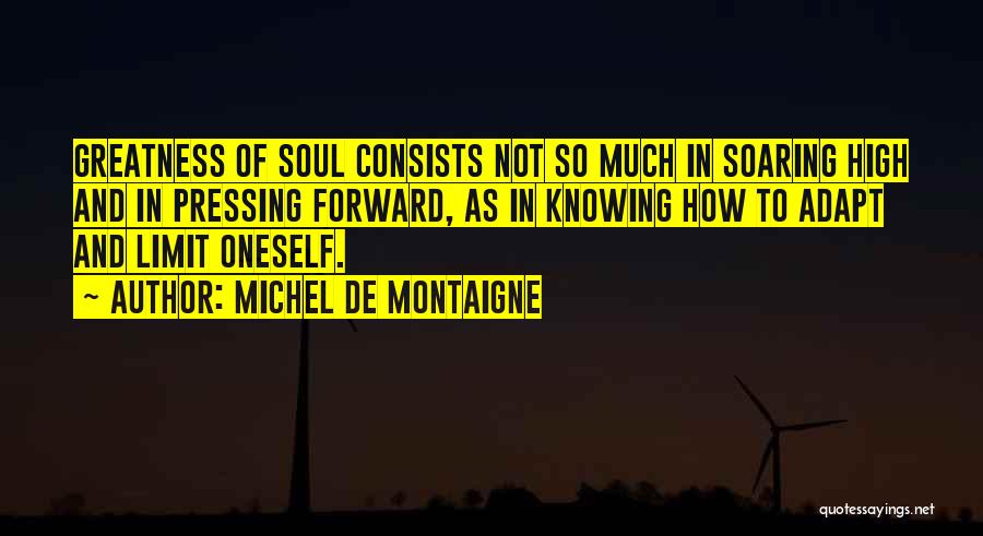 Pressing Forward Quotes By Michel De Montaigne