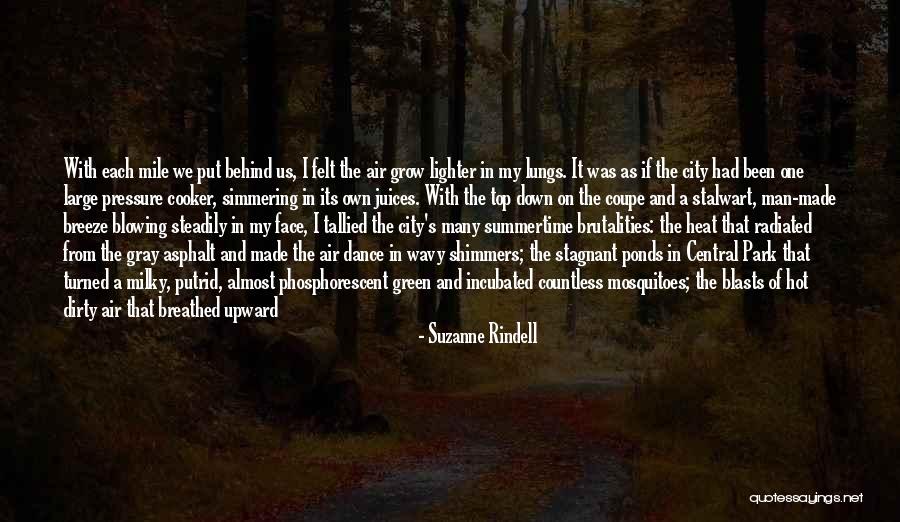 Pressure Cooker Quotes By Suzanne Rindell Pressure Cooker Quotes By Suzanne Rindell