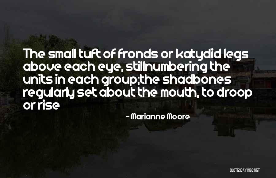 Prestadak Quotes By Marianne Moore Prestadak Quotes By Marianne Moore