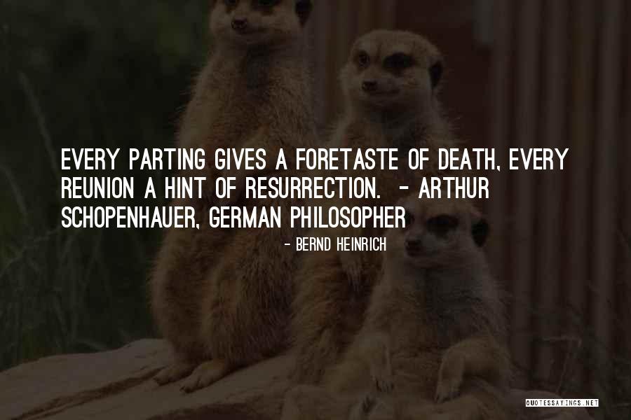Presumir Translation Quotes By Bernd Heinrich Presumir Translation Quotes By Bernd Heinrich