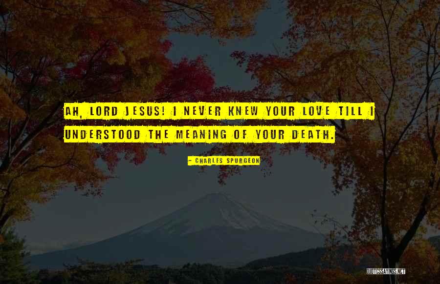 Presunzione Significato Quotes By Charles Spurgeon