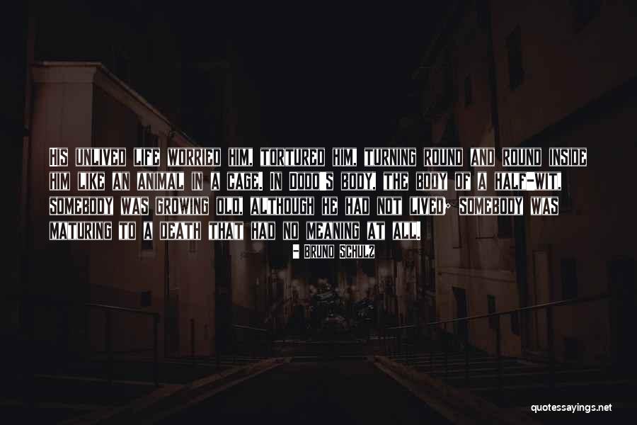 Pretended Falsified Quotes By Bruno Schulz Pretended Falsified Quotes By Bruno Schulz