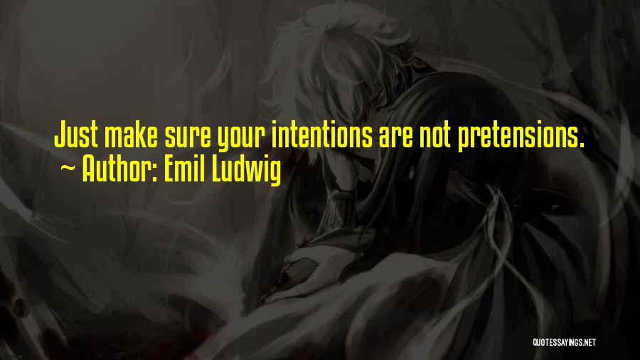 Pretensions Quotes By Emil Ludwig