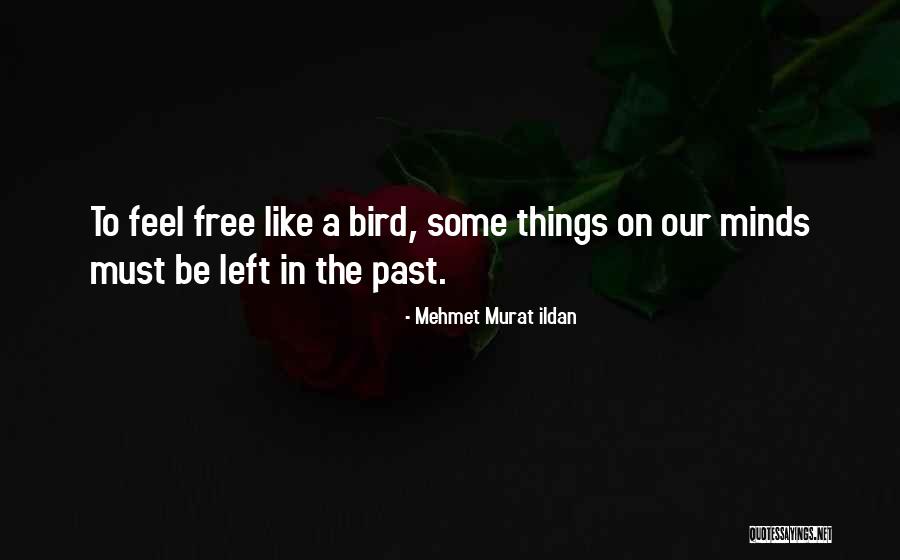 Pretiosa Miter Quotes By Mehmet Murat Ildan