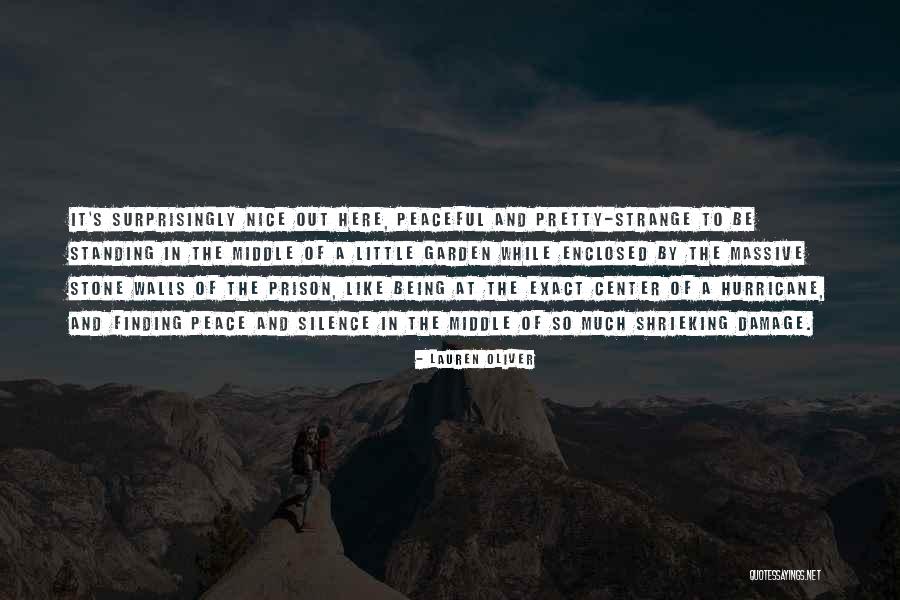 Pretty And Nice Quotes By Lauren Oliver Pretty And Nice Quotes By Lauren Oliver