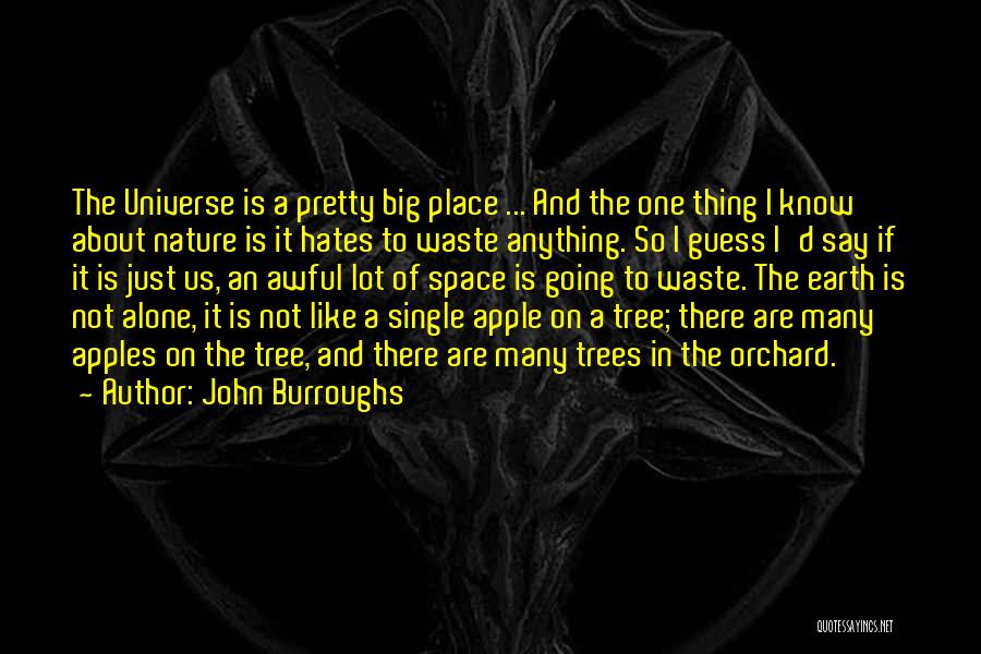 Pretty And Single Quotes By John Burroughs