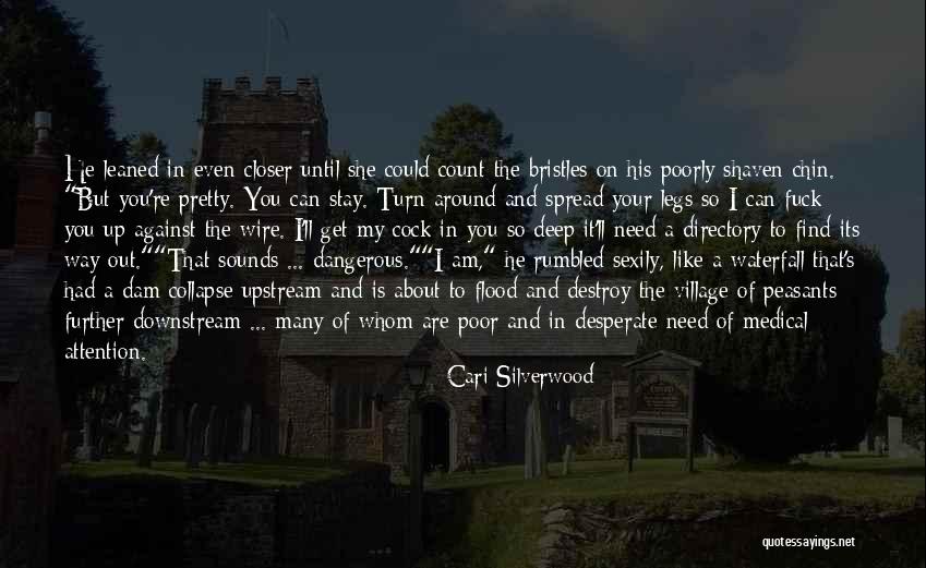 Pretty But Dangerous Quotes By Cari Silverwood Pretty But Dangerous Quotes By Cari Silverwood