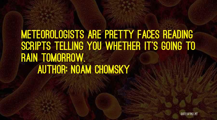 Pretty Faces Quotes By Noam Chomsky