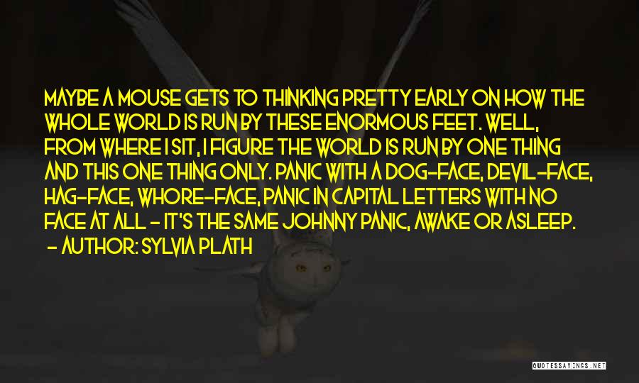 Pretty Feet Quotes By Sylvia Plath