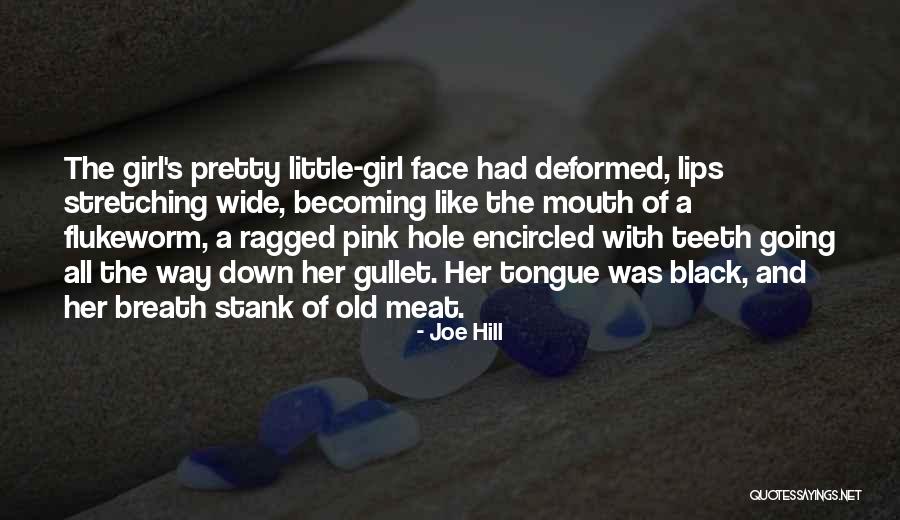 Pretty Lips Quotes By Joe Hill