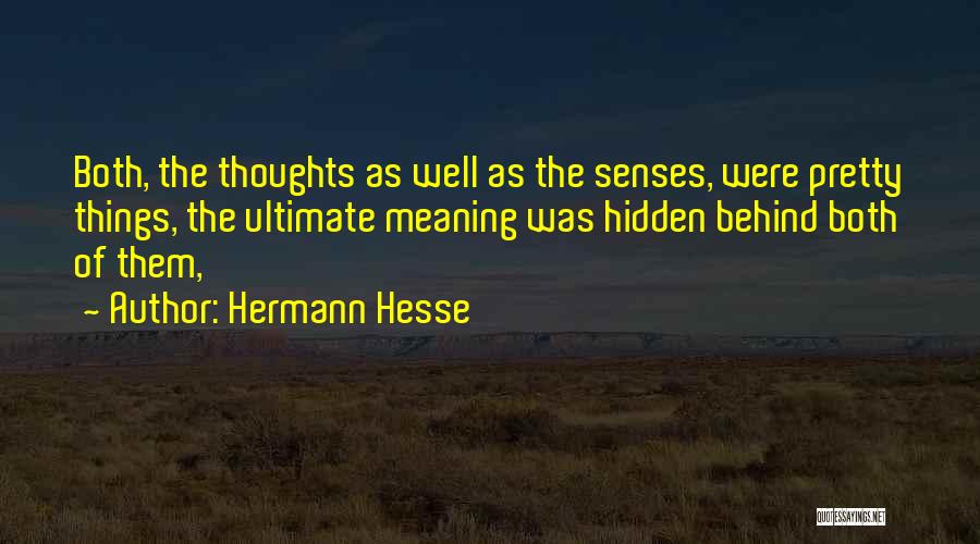 Pretty Things Quotes By Hermann Hesse