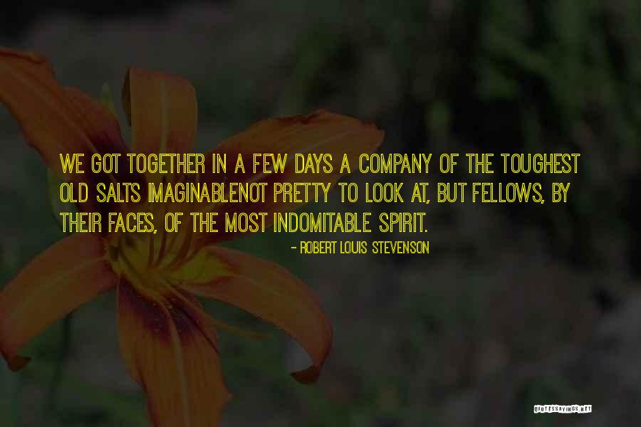 Pretty To Look At Quotes By Robert Louis Stevenson