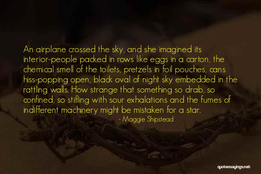 Pretzels Quotes By Maggie Shipstead