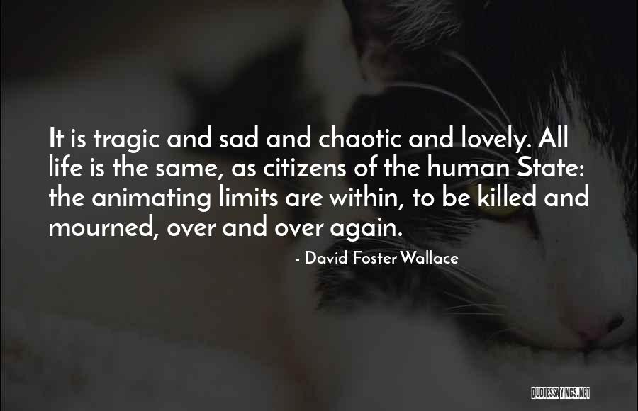 Pretzer Family Lbp Quotes By David Foster Wallace Pretzer Family Lbp Quotes By David Foster Wallace