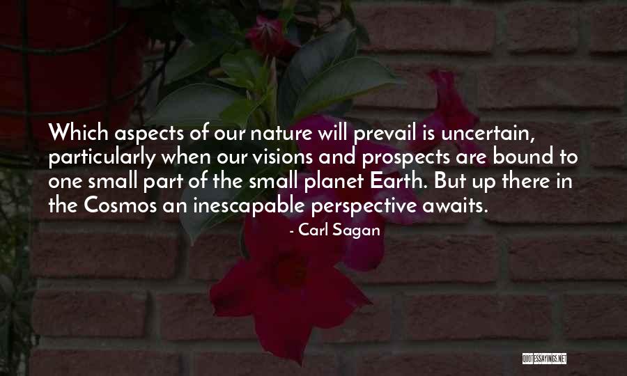 Prevail Quotes By Carl Sagan