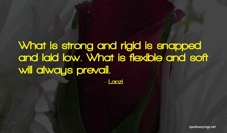 Prevail Quotes By Laozi