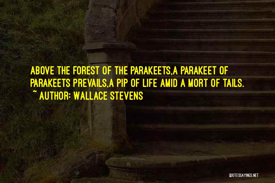 Prevails Quotes By Wallace Stevens