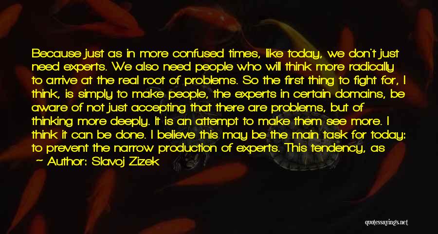 Prevent Problems Quotes By Slavoj Zizek