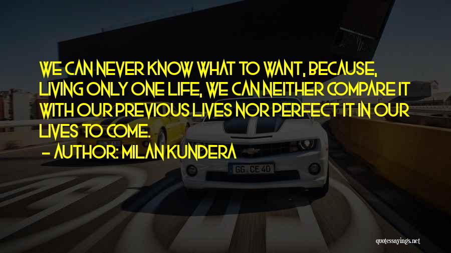 Previous Life Quotes By Milan Kundera