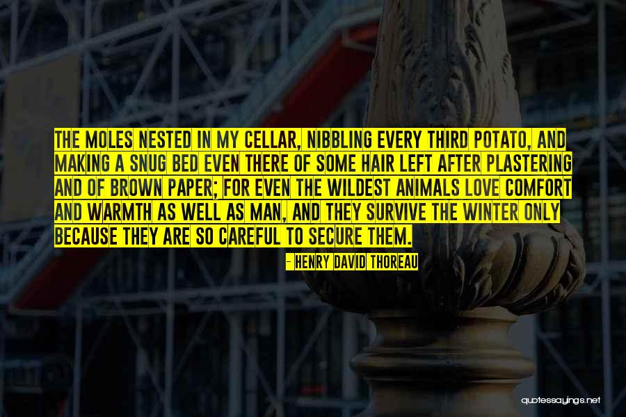 Previti Pasta Quotes By Henry David Thoreau Previti Pasta Quotes By Henry David Thoreau