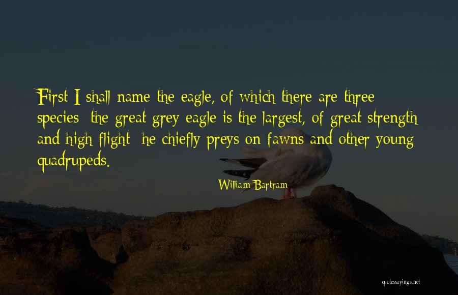 Preys Quotes By William Bartram Preys Quotes By William Bartram