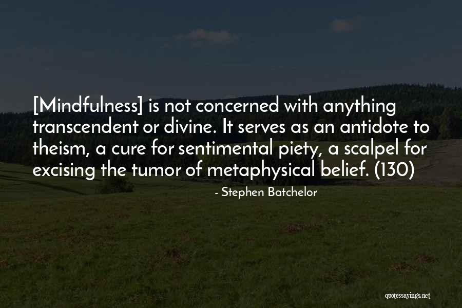 Priamiprenosluks Quotes By Stephen Batchelor Priamiprenosluks Quotes By Stephen Batchelor