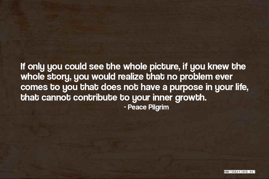 Priapic Pronunciation Quotes By Peace Pilgrim Priapic Pronunciation Quotes By Peace Pilgrim