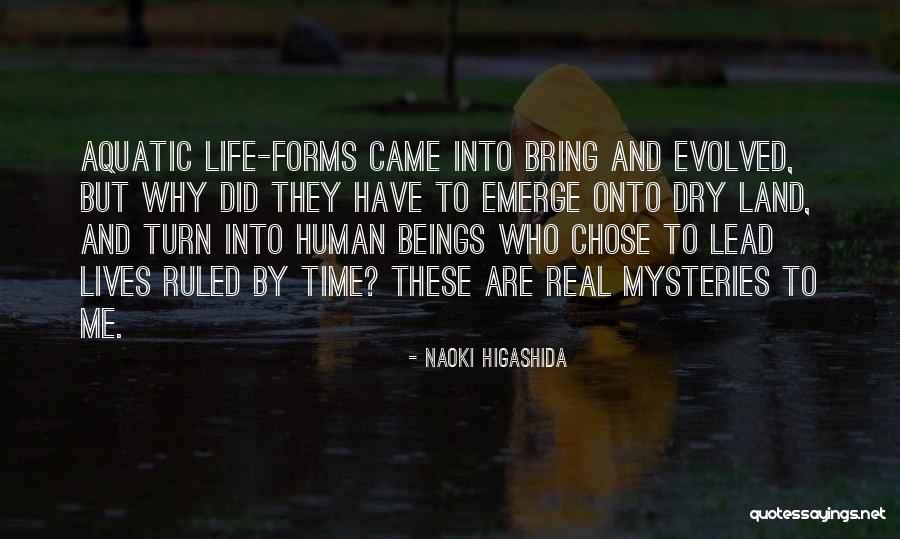 Pribadi Nabi Quotes By Naoki Higashida Pribadi Nabi Quotes By Naoki Higashida