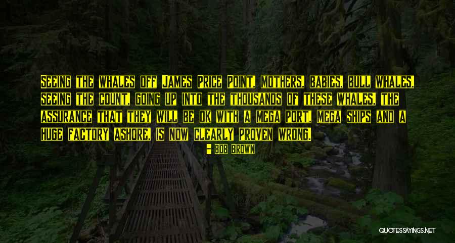 Price Point Quotes By Bob Brown Price Point Quotes By Bob Brown