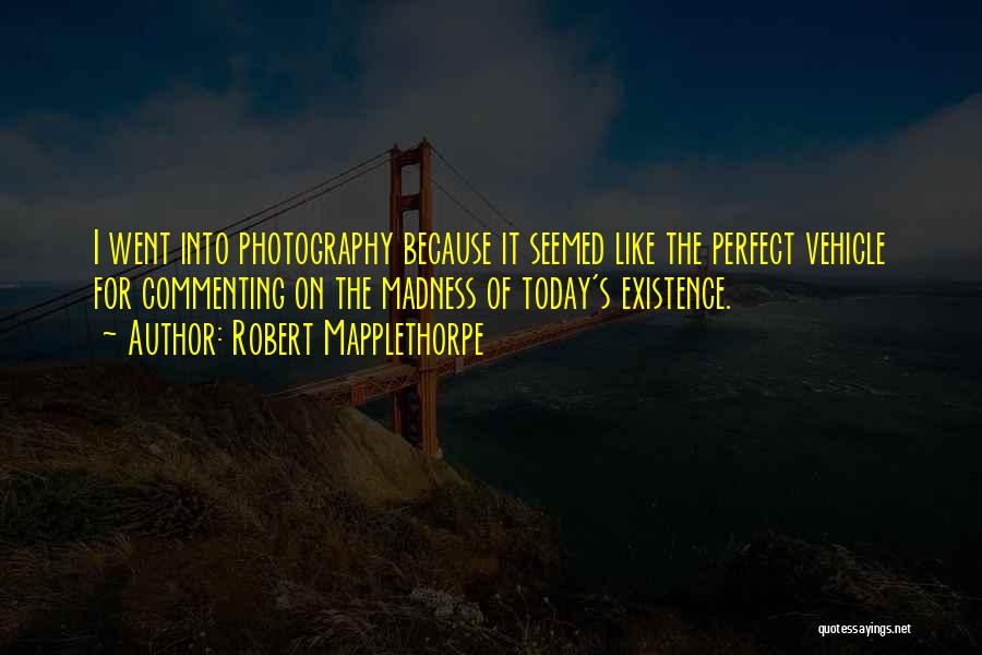 Priceless Commercial Quotes By Robert Mapplethorpe