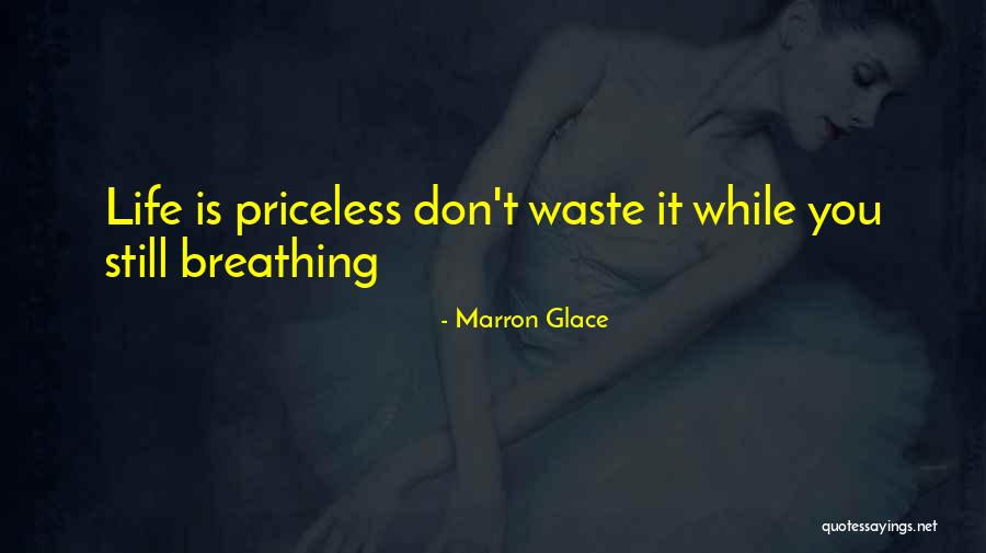 Priceless Life Quotes By Marron Glace