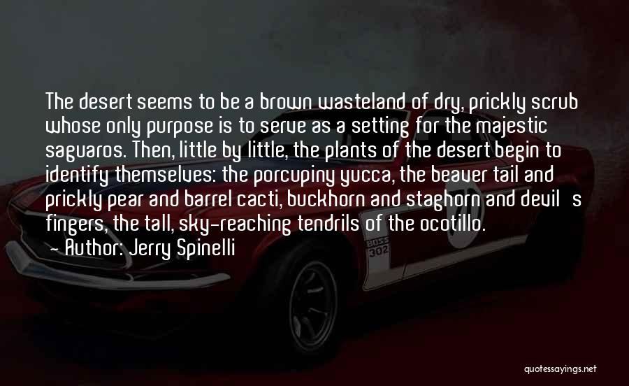 Prickly Quotes By Jerry Spinelli