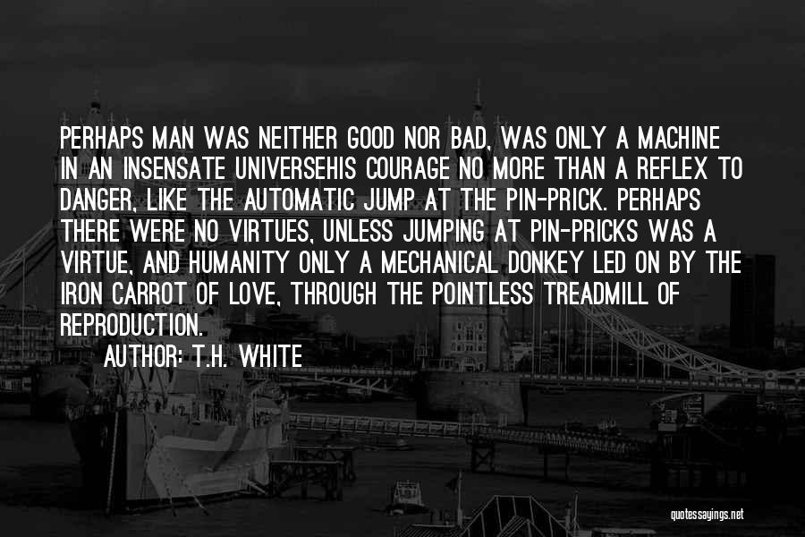 Pricks Quotes By T.H. White