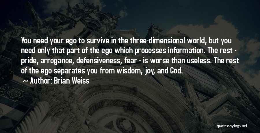 Pride And Arrogance Quotes By Brian Weiss
