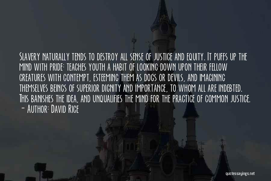 Pride And Dignity Quotes By David Rice