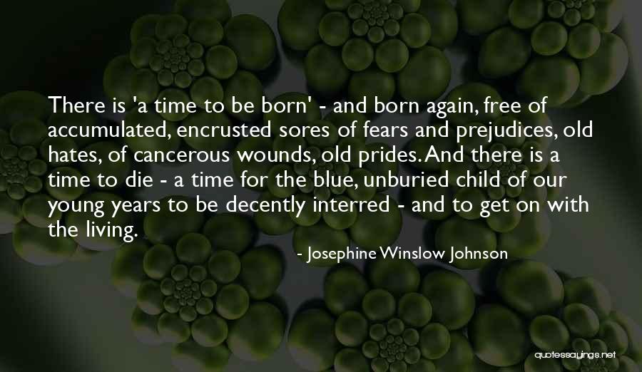 Pride And Prejudices Quotes By Josephine Winslow Johnson