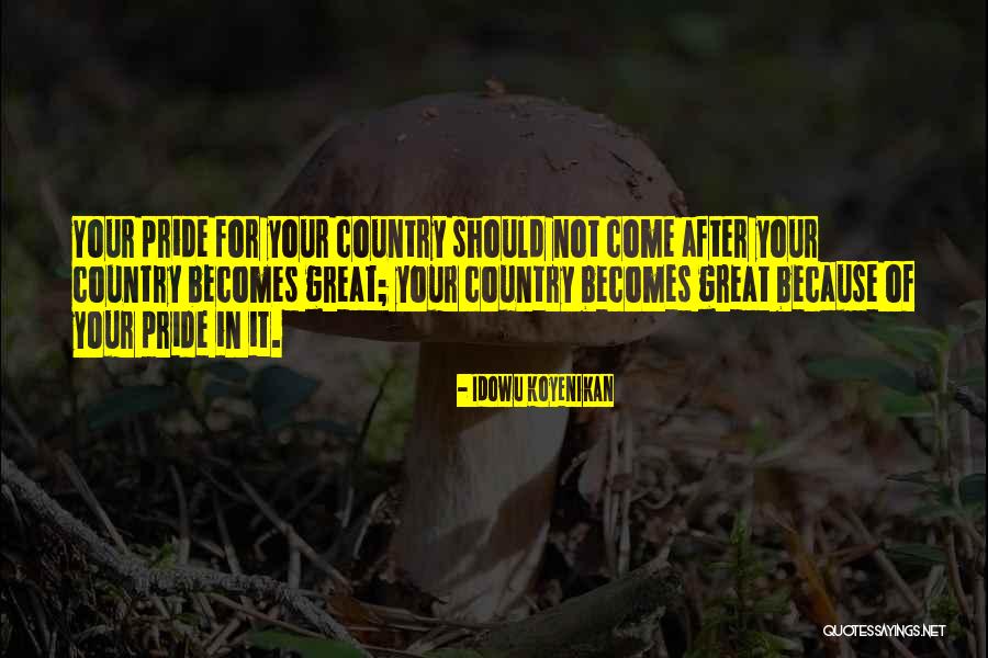 Pride For Country Quotes By Idowu Koyenikan Pride For Country Quotes By Idowu Koyenikan