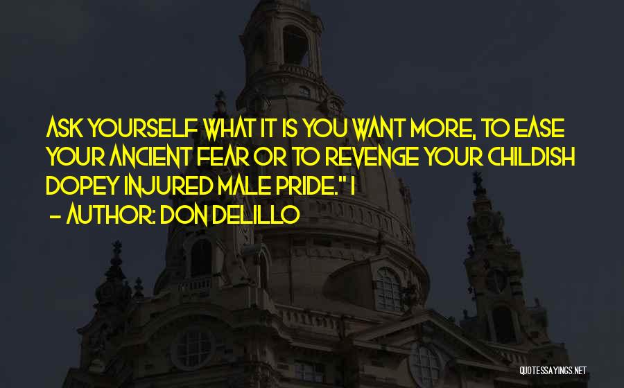 Pride Gets The Best Of You Quotes By Don DeLillo