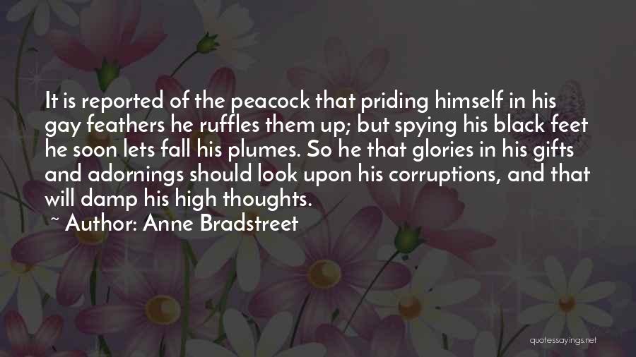 Pride Has A Fall Quotes By Anne Bradstreet