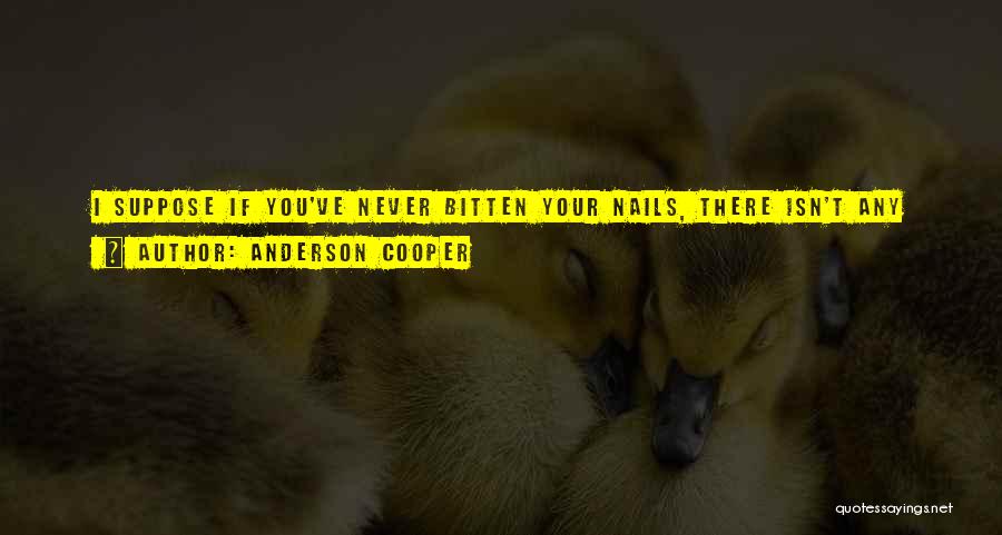 Pride In Your Job Quotes By Anderson Cooper