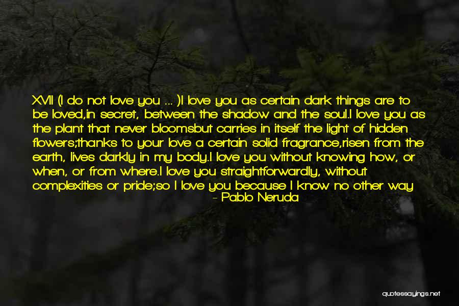 Pride Itself Quotes By Pablo Neruda Pride Itself Quotes By Pablo Neruda