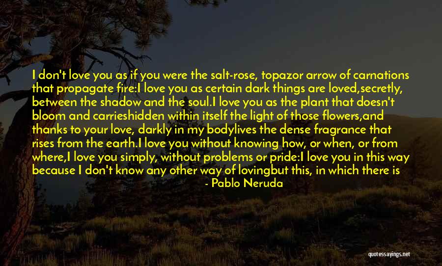 Pride Itself Quotes By Pablo Neruda Pride Itself Quotes By Pablo Neruda