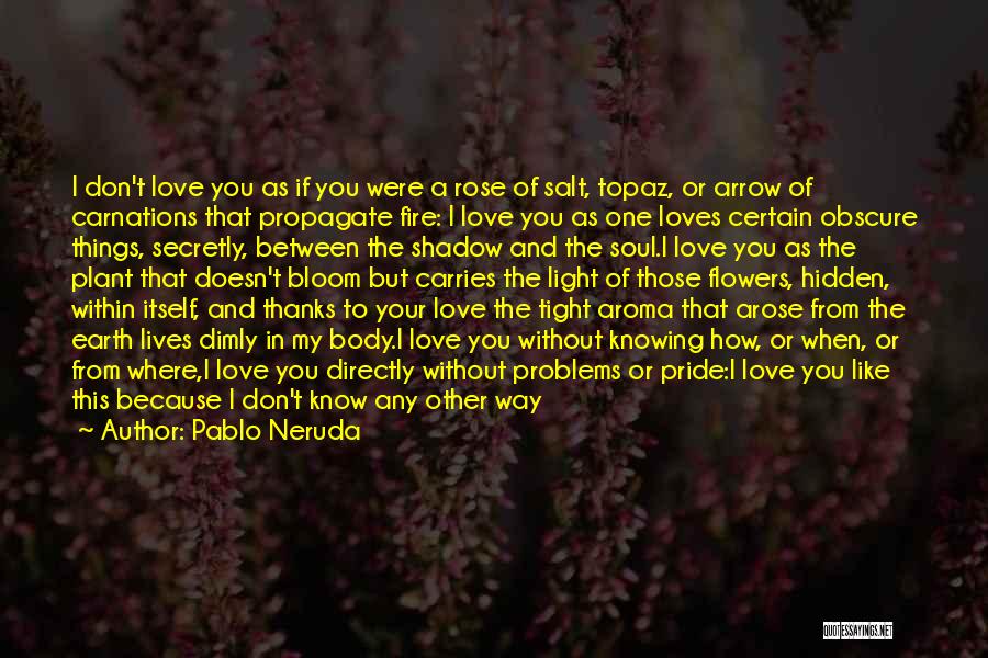 Pride Of Love Quotes By Pablo Neruda
