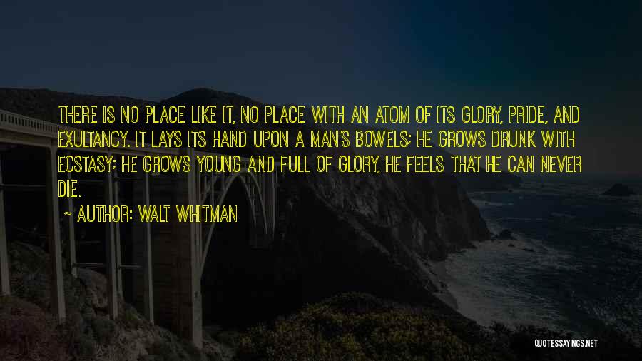 Pride Of Man Quotes By Walt Whitman